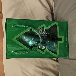 Vanilla Bean Noel Bath & Body Works